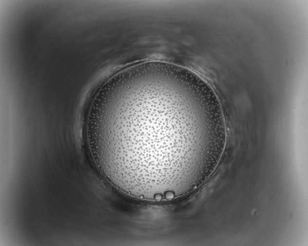X0000088680149200706071433