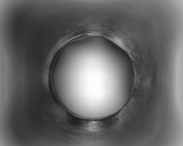 X0000088680151200706071433
