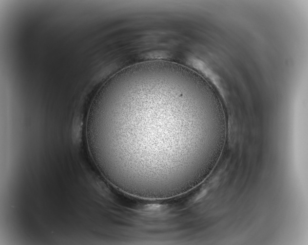 X0000088680153200706071433