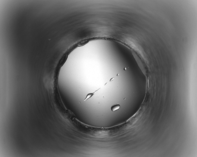 X0000088680156200706071433