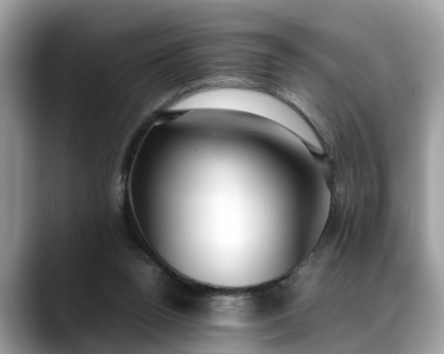 X0000088680160200706071433