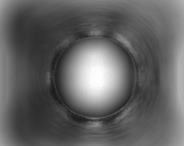 X0000088680161200706071433