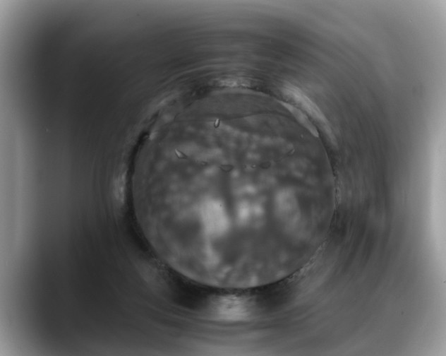 X0000088680163200706071433