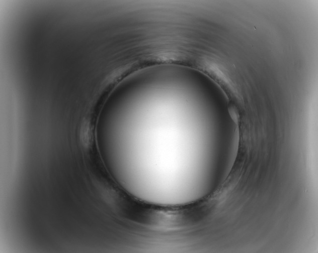 X0000088680164200706071433