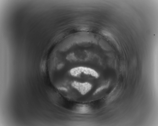 X0000088680167200706071433