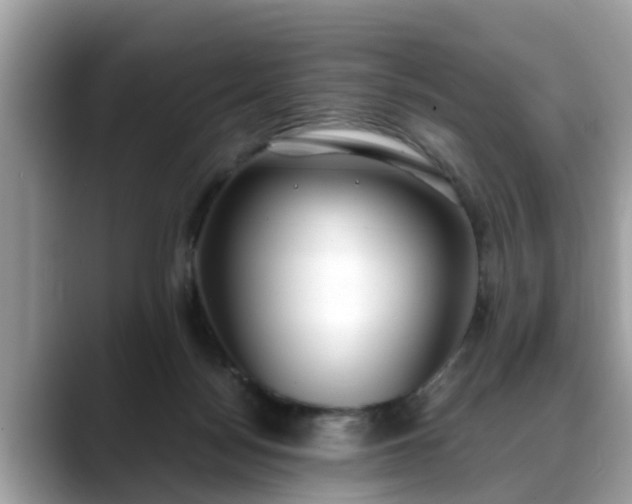 X0000088680172200706071433