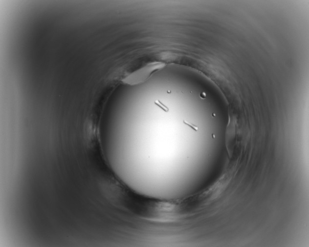 X0000088680176200706071433