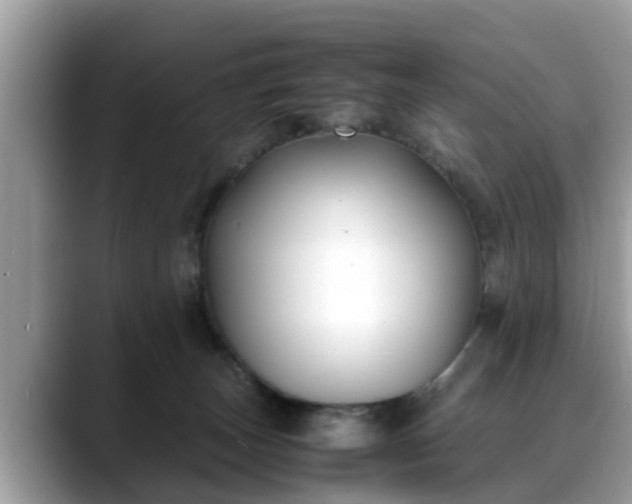 X0000088680179200706071433