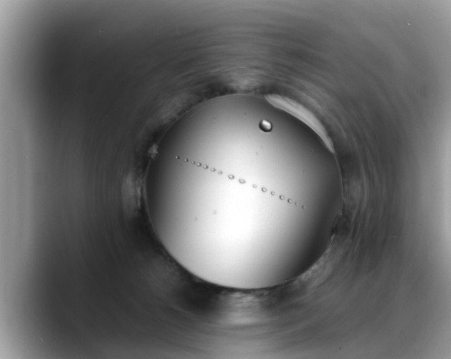 X0000088680180200706071433