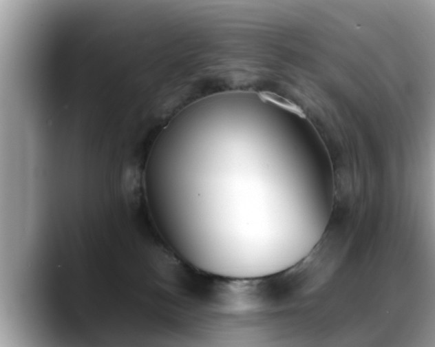 X0000088680184200706071433