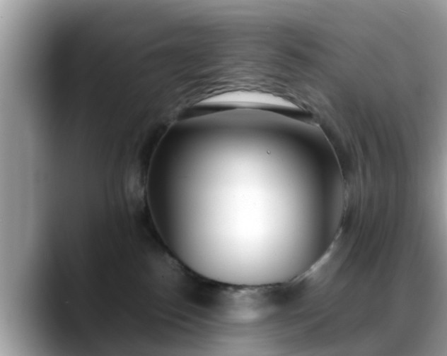 X0000088680186200706071433