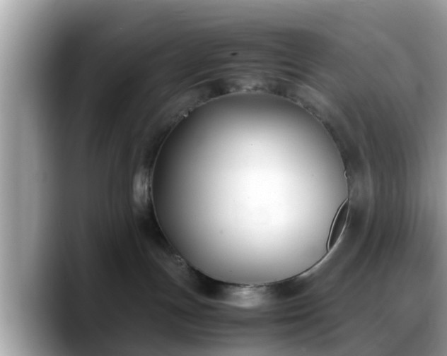 X0000088680191200706071433