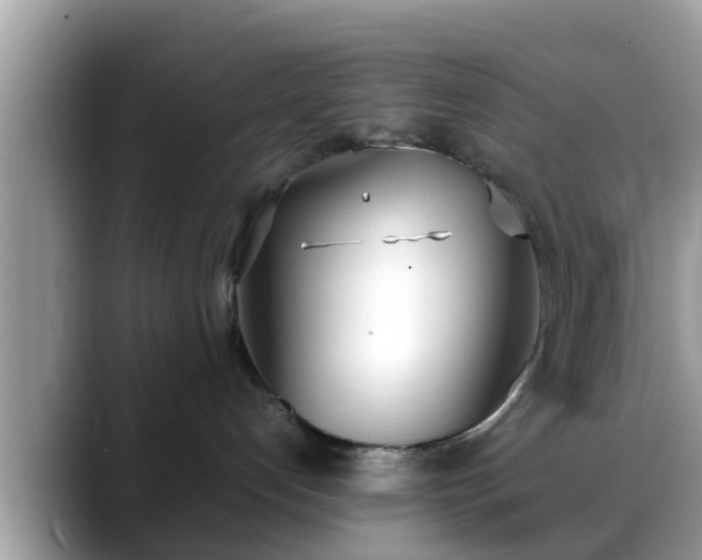 X0000088680192200706071433