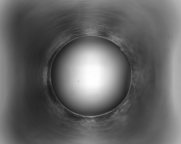 X0000088680194200706071433