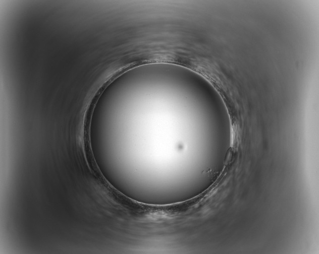 X0000088680195200706071433