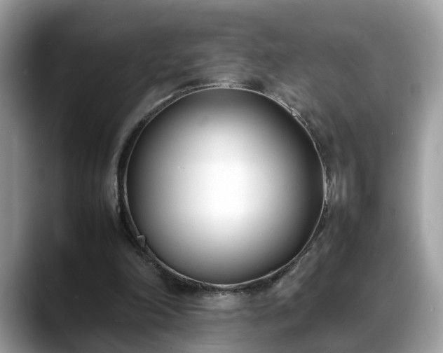X0000088680198200706071433