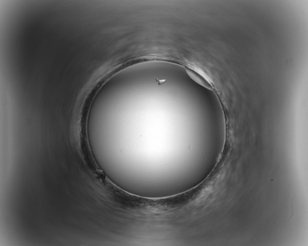 X0000088680199200706071433