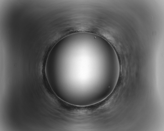 X0000088680201200706071433