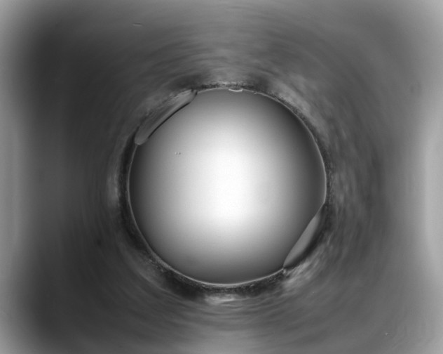 X0000088680203200706071433