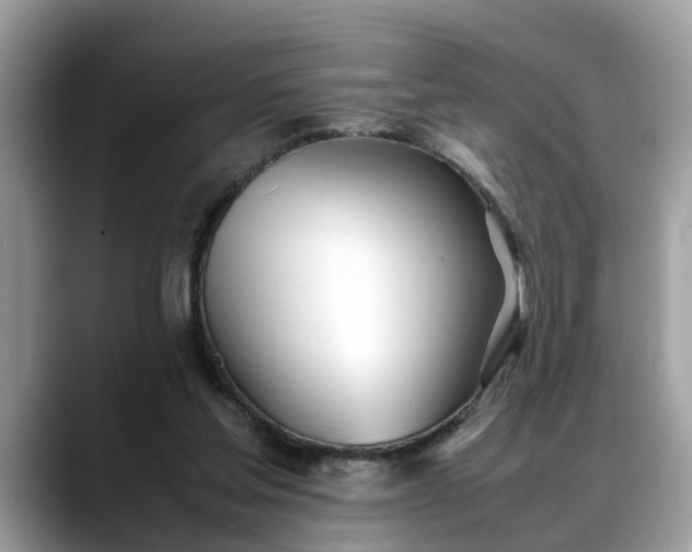 X0000088680205200706071433