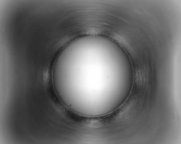 X0000088680208200706071433