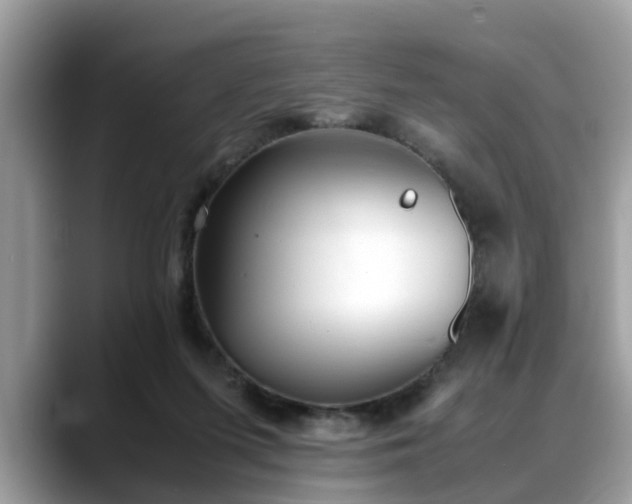 X0000088680215200706071433
