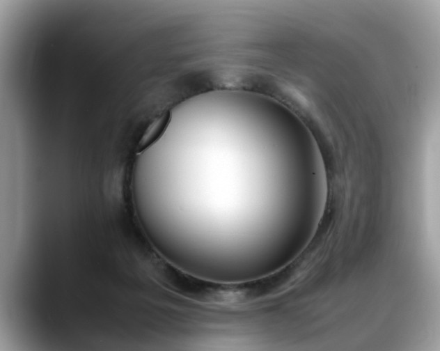 X0000088680217200706071433