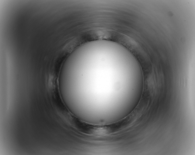 X0000088680218200706071433