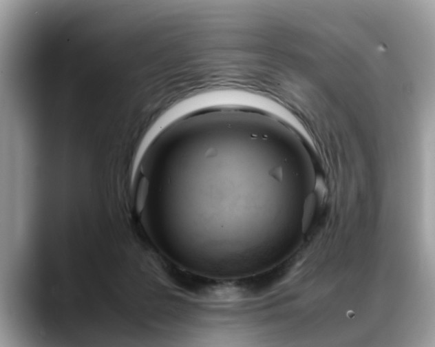X0000088680219200706071433