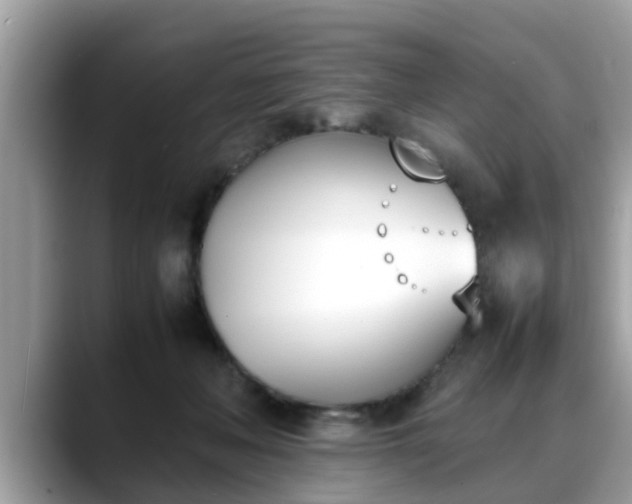 X0000088680222200706071432