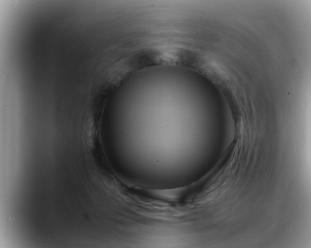 X0000088680223200706071432