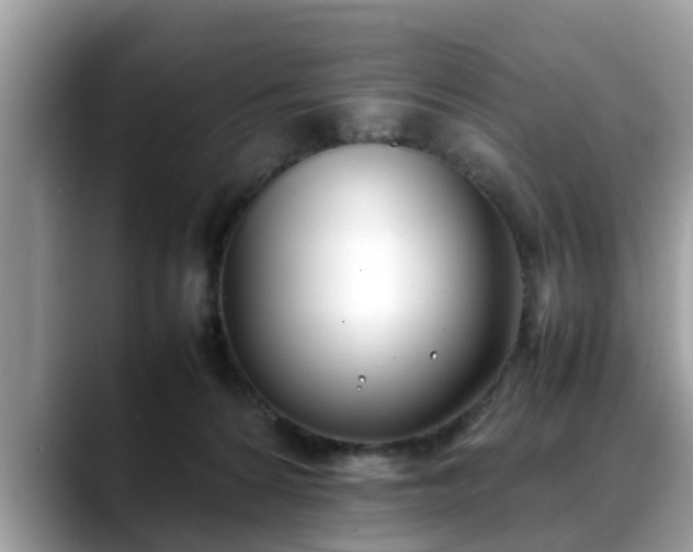 X0000088680224200706071432