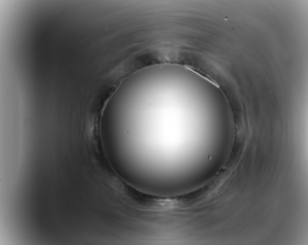 X0000088680233200706071432