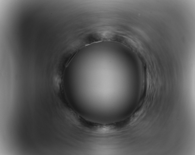 X0000088680235200706071432