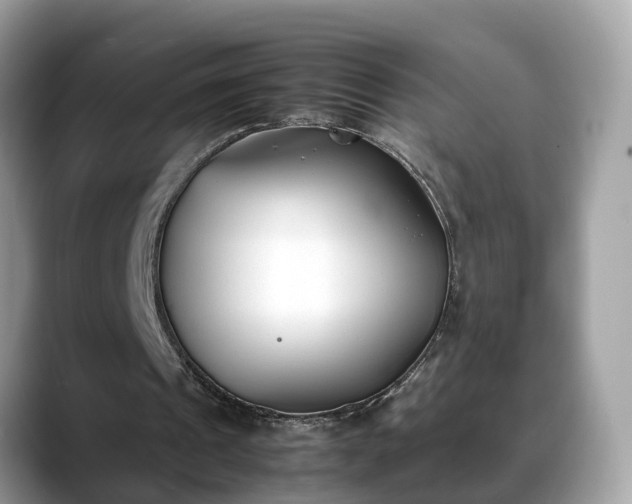 X0000088680241200706071432