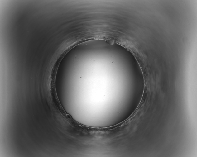 X0000088680242200706071432