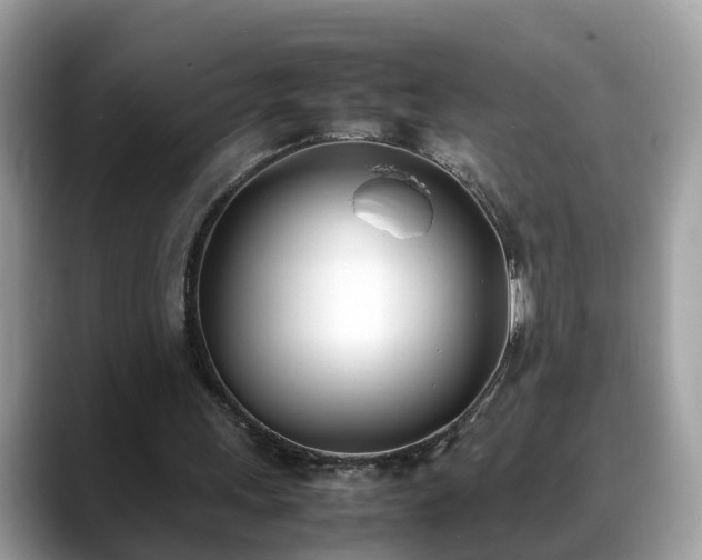 X0000088680243200706071432