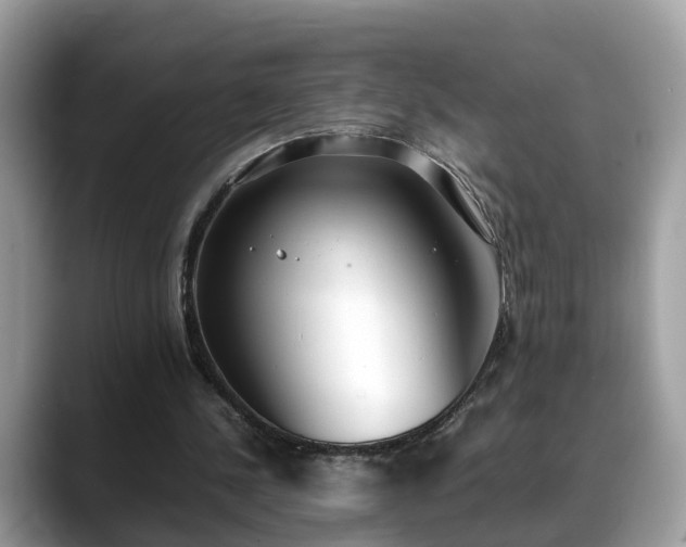 X0000088680244200706071432