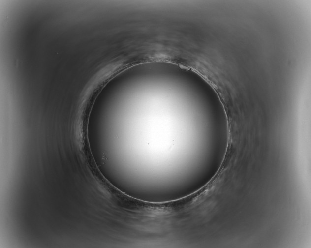 X0000088680245200706071432