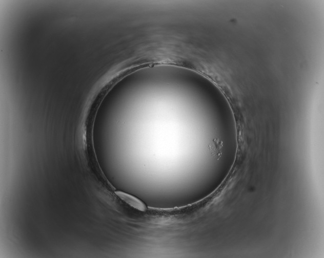 X0000088680246200706071432