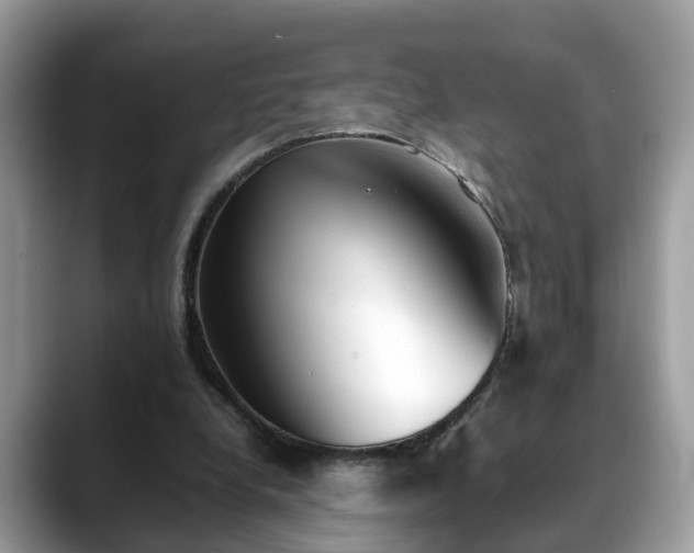 X0000088680248200706071432