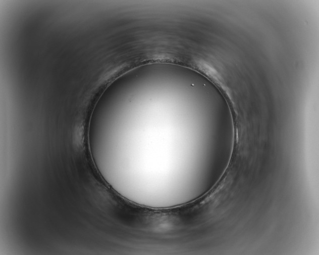X0000088680249200706071432