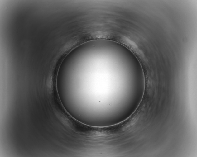X0000088680250200706071432