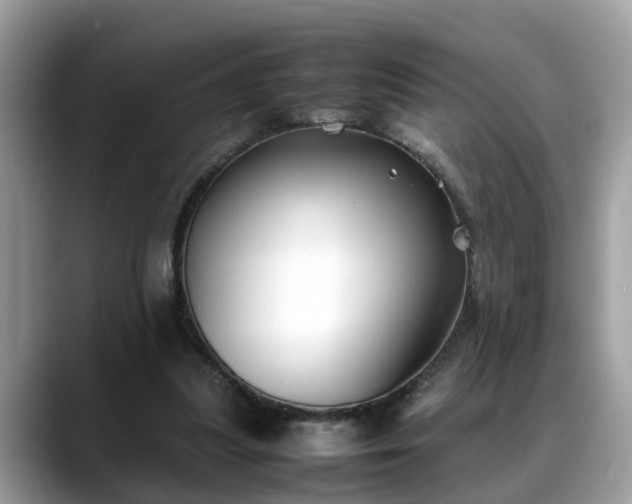 X0000088680251200706071432