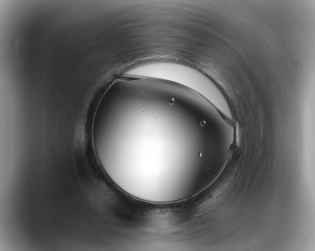 X0000088680252200706071432