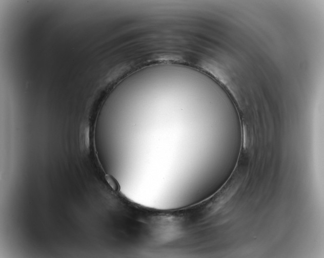 X0000088680253200706071432