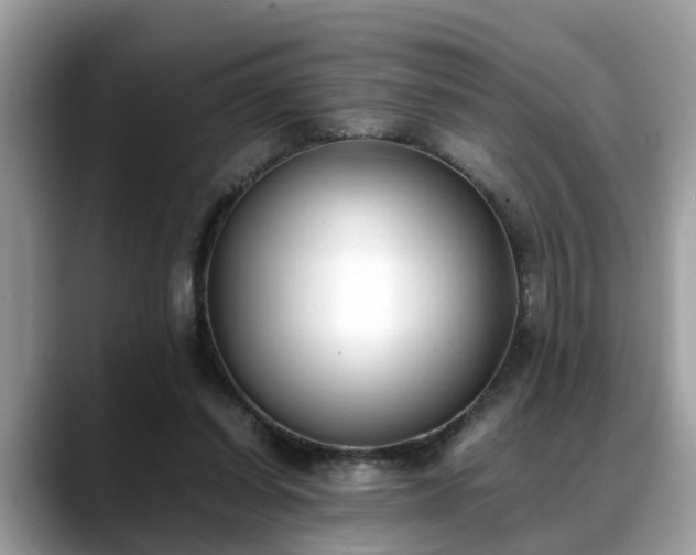 X0000088680254200706071432