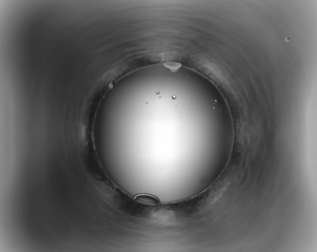 X0000088680258200706071432