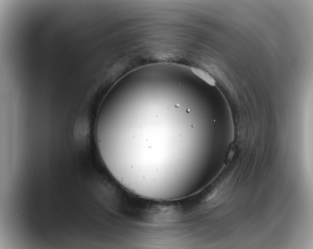 X0000088680260200706071432