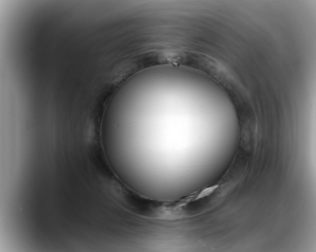 X0000088680270200706071432